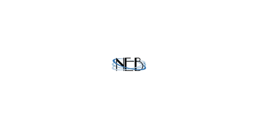 National Engineering Bureau &middot; LOGO